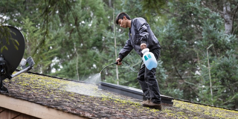 How Roof Cleaning Preserves Your Roof