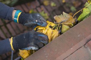 Why You Should Leave Gutter Cleaning to the Professionals