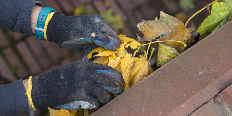 Why You Should Leave Gutter Cleaning to the Professionals