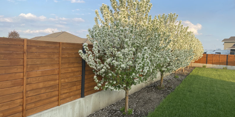 Fence Cleaning: Keep Your Fence Looking Its Best